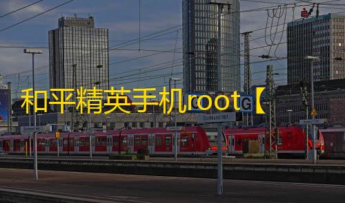 和平精英手机root【小猪】科技